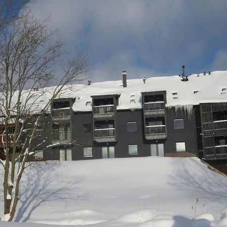Apartman Honey Dolní Morava Exterior foto